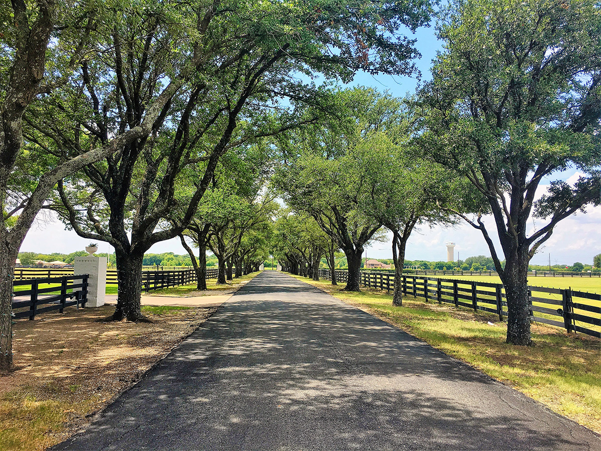 Southfork Ranch Dallas Driveway Day Trips Austin Texas