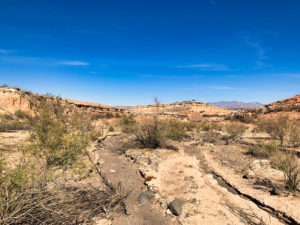 White Owl Canyon Hiking Trail Lake Mead Las Vegas Nevada
