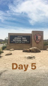 Joshua Tree National Park Los Angeles California Route 66 Road Trip