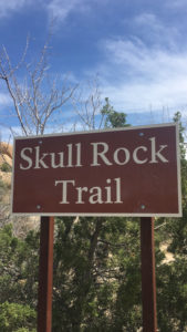 Skull Rock Trail Joshua Tree National Park Los Angeles California Route 66 Road Trip